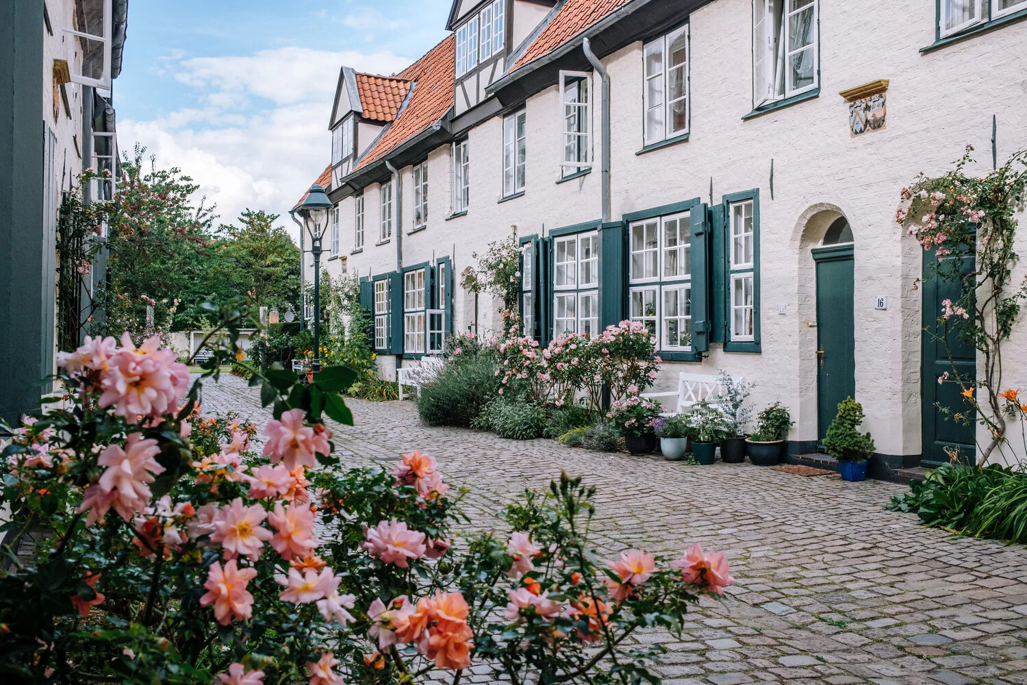 Verwunschener Hof in Lübeck. Die Straße ist aus Pflastersteinen und an den Häuserwänden wachsen Rosen