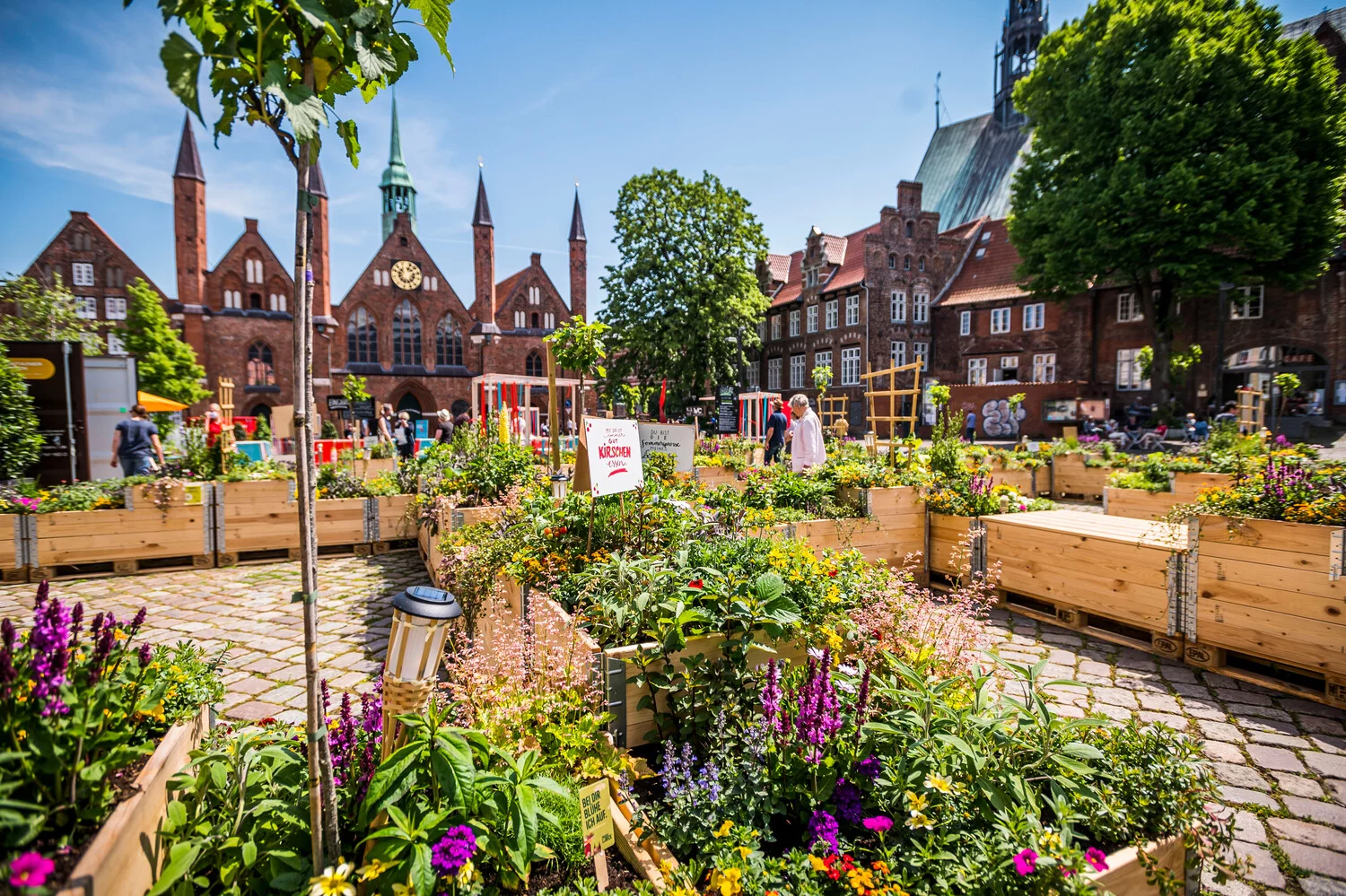 Blick aus dem Komplimentegarten auf dem Koberg in der Altstadt in Richtung der St. Jakobikirche